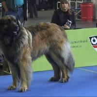 Salzburg Clubschau Mai 06 094 